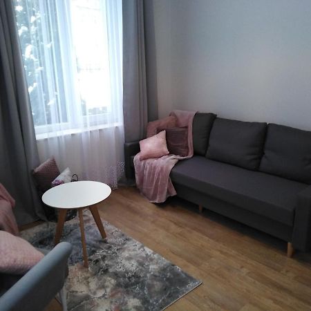 Apartament Joanna Sanok Bagian luar foto